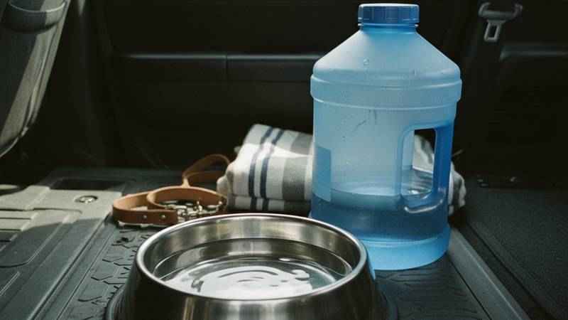 Water bowl and fresh water image with no text