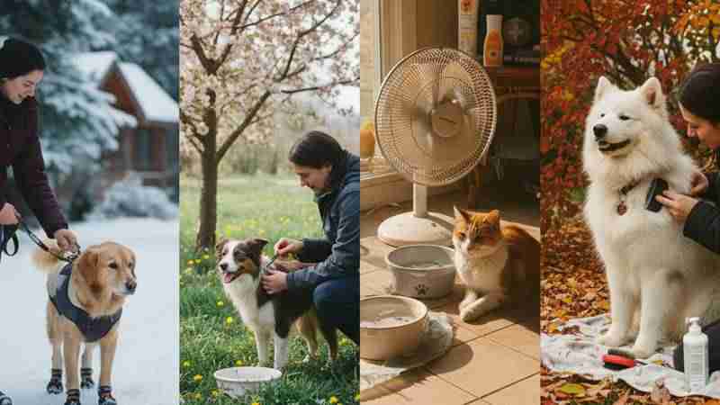 Image about Year Round Guide To Seasonal Pet Safety. No text in the image